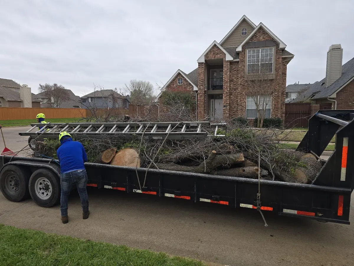 Expert Tree Pest Control with proper safety equipment in Griffin
